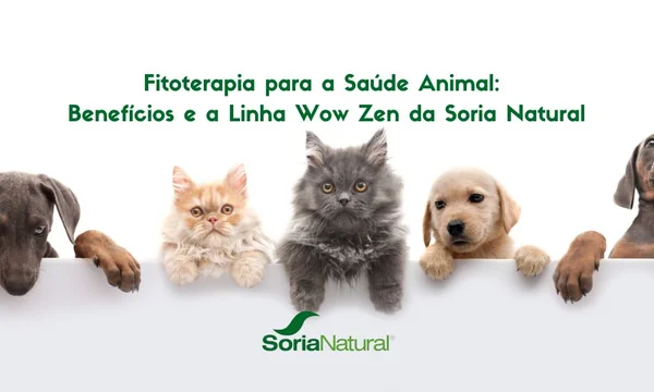 Capa da postagem