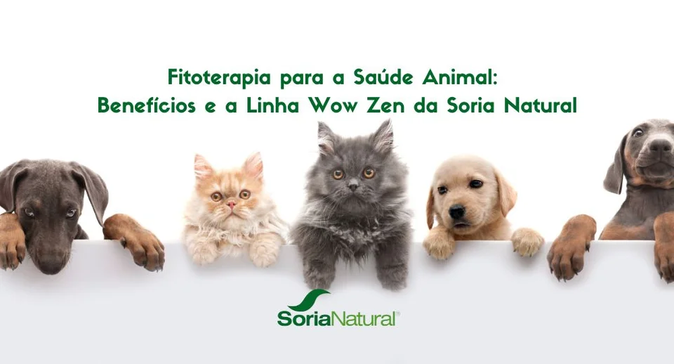 Capa da postagem