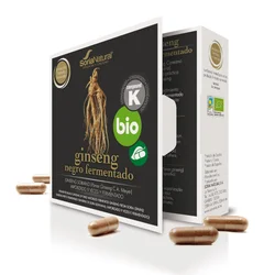 Ginseng Negro Fermentado