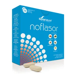 Noflasor